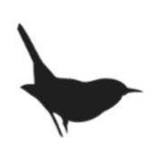 Profile Picture of Cindy Michaels (@cindymichaels4030) on Youtube