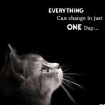 Profile Picture of Bailey Jason (@Bailey-Jason) on Facebook