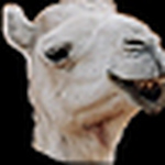 Profile Picture of Joseph Hill (@nebedaay) on Flickr