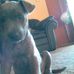 Profile Picture of Renee McCloud (@renee.mccloud.758) on Facebook