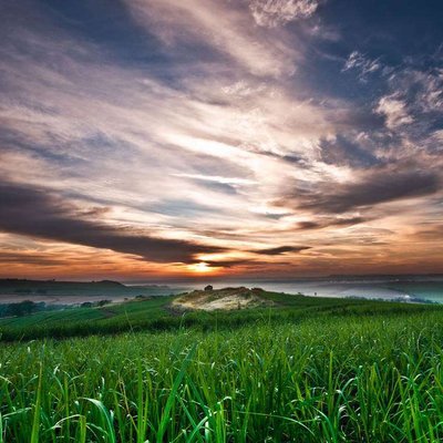 Profile Picture of Bruce Olson (@bano6010) on Twitter