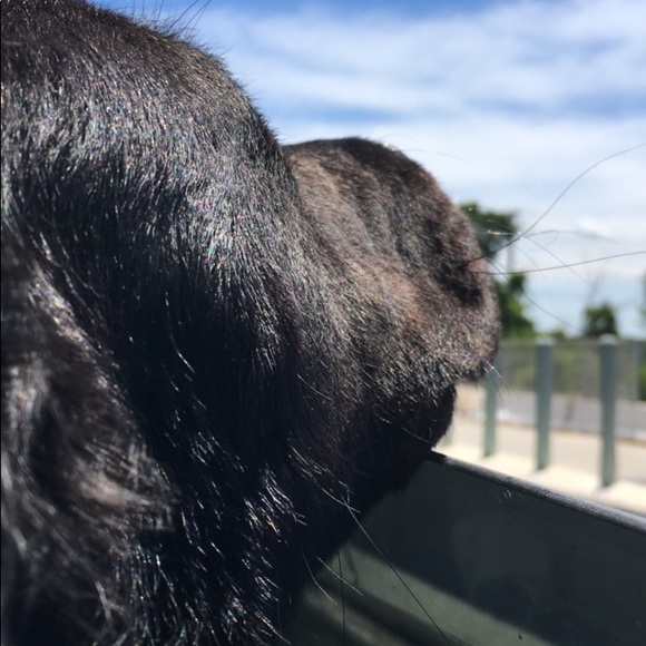 Profile Picture of Jade Gordon (@jadegordon1013) on Poshmark