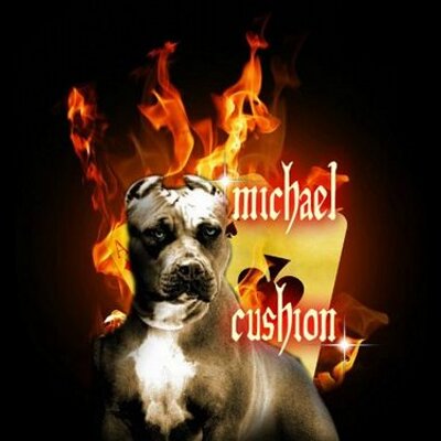 Profile Picture of Michael Cushion (@superchav53) on Twitter