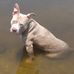Profile Picture of John Stripling (@john.stripling.334) on Facebook