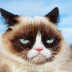 Profile Picture of Olivia Sharp (@animalworldd10) on Instagram