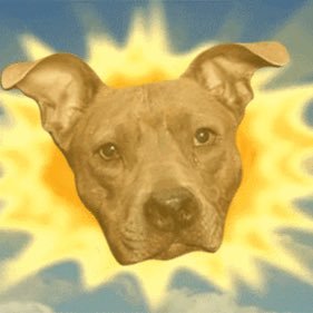 Profile Picture of Mackenzie Snelling (@MackenzieSnell3) on Twitter