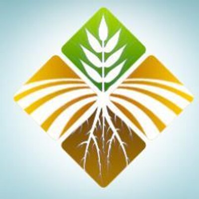 Profile Picture of Dave Oster (@DavidOster1) on Twitter