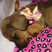 Profile Picture of Marsha Davis (@marshadavis2589) on Youtube