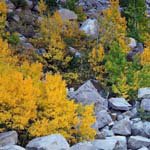 Profile Picture of Julian_Woods (@julian_woodsr) on Instagram