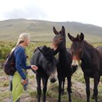 Profile Picture of Nancy Reichley (@reichleyn) on Instagram