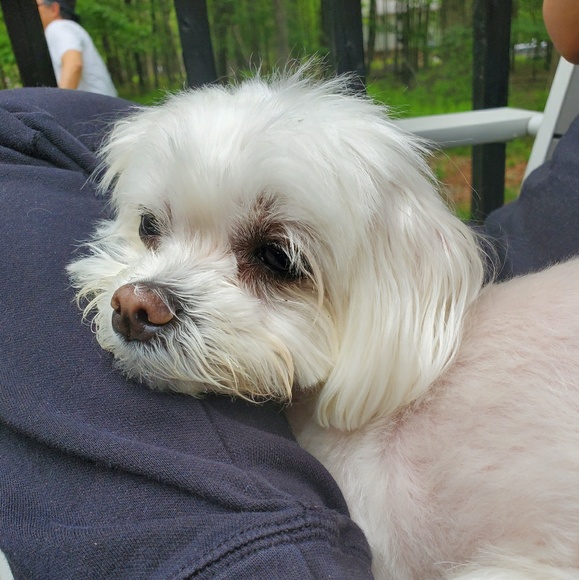 Profile Picture of Yoonjin Lee (@2yoonjin) on Poshmark