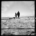 Profile Picture of Colin Atkinson (@colinatkinson) on Pinterest