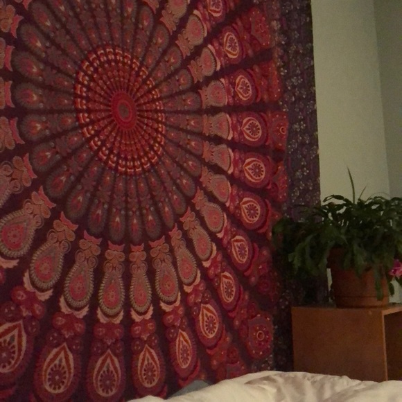 Profile Picture of Alyssa Weidhaas (@lyssweidhaas) on Poshmark