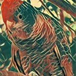 Profile Picture of CBR55r (@tonyhenshaw55) on Instagram