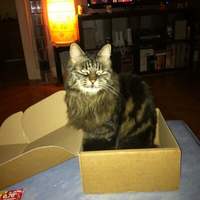 Profile Picture of Chris Tison (@christine_tison) on Twitter