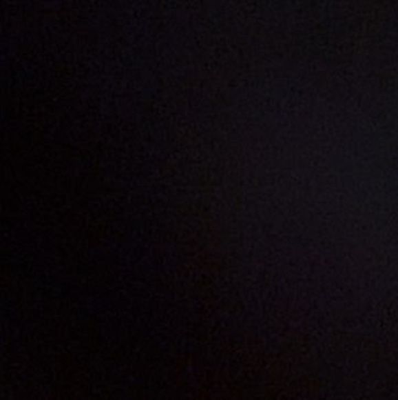 Profile Picture of Chelsea Topolewski (@c_topolewski) on Poshmark