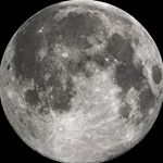 Profile Picture of David Rossello (@thetruedeh) on Instagram