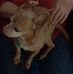 Profile Picture of Kathy Cliff (@kathy.cliff.39) on Facebook