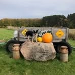 Profile Picture of Windy Ridge (@windy.ridge.9421) on Facebook