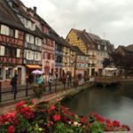 shirley - Instagram Profile Picture of shirley (@shirley_hung0113) on Instagram