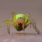 Profile Picture of Wayne Mears (@waynemearsart) on Instagram