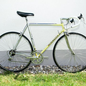 Profile Picture of Tim Castle (@kingbillyblue) on Twitter