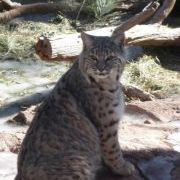 Profile Picture of Christine Drawert (@plexy118) on Pinterest