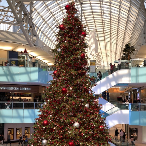 Kasra Taghavi - Poshmark Profile Picture of Kasra Taghavi (@kasratgh) on Poshmark