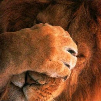 Profile Picture of Raymond Bendall🇨🇦 (@raymondbendall) on Twitter