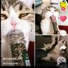 Profile Picture of Michel Petrowski (@michelpetrowski0) on Tiktok