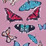 moni + tina🦋 - Instagram Profile Picture of moni + tina🦋 (@papillonglosses) on Instagram