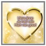 Veronica van Haastert - Instagram Profile Picture of Veronica van Haastert (@veronicavanhaastert) on Instagram