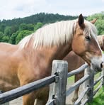 Profile Picture of Brad Remington (@Brad-Remington) on Facebook