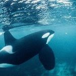 Profile Picture of harold john pendergast (@haroldpendergast) on Instagram