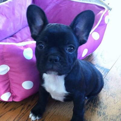 Profile Picture of Mark Gunther (@mgcode58) on Twitter