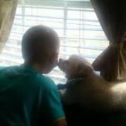 Profile Picture of Laurie Cooper-Stanley (@butterfly8103) on Pinterest