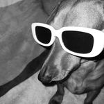 Profile Picture of Carmen landeros (@carmen21landeros) on Instagram