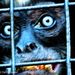 Profile Picture of Darin Oswald (@darinoswald) on Pinterest
