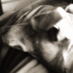 Profile Picture of Not Andrew Wickman (@not_andrew_w) on Instagram