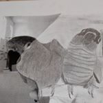 Profile Picture of Melissa Carson (@melissaricks267) on Instagram