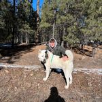 Profile Picture of Caiden Elsaesser (@chris_caiden21) on Instagram
