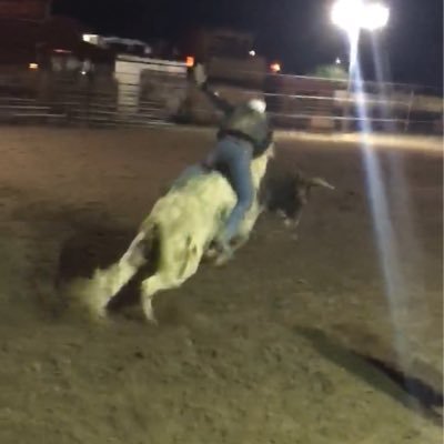 Profile Picture of Nick Schaeffer (@ScheafferNick) on Twitter