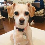 Profile Picture of Lily Barron (@the.lilyb) on Instagram