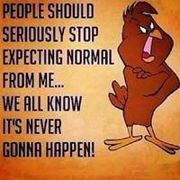 Profile Picture of John Grice (@john-grice-6) on Quora