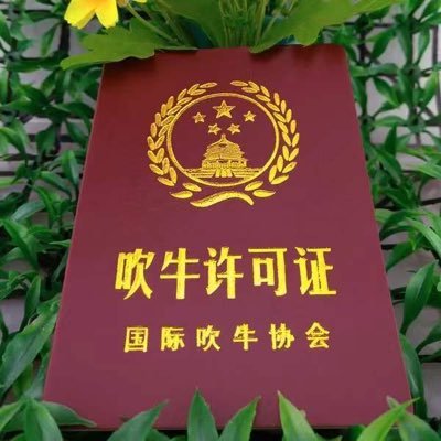 Profile Picture of KevinQi (@KevinQi64016194) on Twitter