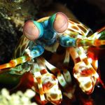 Profile Picture of Paul O'Malley (@paul.omalley.16940) on Instagram