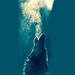 Profile Picture of Jose Osegueda (@angelydiabla) on Pinterest