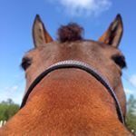 Profile Picture of Rachel Weston (@run_forrest._run) on Instagram