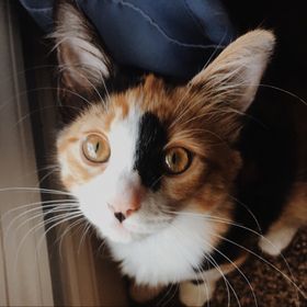 Profile Picture of Lilly Allen (@lillydawnallen) on Pinterest