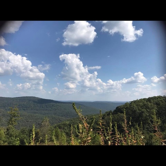 Profile Picture of Dennise Meyer (@nenemeyer) on Poshmark